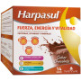 Boisson Force Énergie et Vitalité Chocolat 14 Sachets Natysal