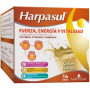Smoothie Force Énergie et Vitalité Vanille 14 Sachets Natysal