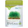 Jus d'Herbe de Blé en Poudre 150G Biotona