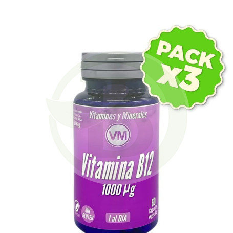 Pack 3x Vitamina B12 Nueva Formula 60 Capsulas Vegetales Ynsadiet
