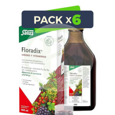 Pack 6x Floradix Sirop 500Ml. Salus