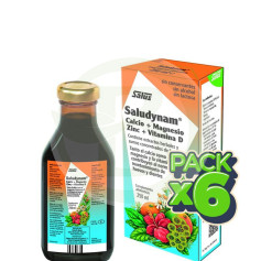 Pack 6x Saludynam Sirop 250Ml. Salus