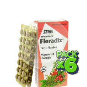 Pack 6x Floradix Comprimidos Salus