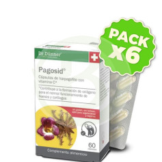 Pack 6x Pagosid 60 Gélules Dr. Dunner