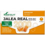 Gelée Royale 2000 avec Probiotiques 20 Flacons Soria Natural