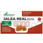 Gelée Royale 5000 avec Probiotiques 20 Flacons Soria Natural