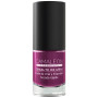 Vernis à Ongles Nº5 Aubergine 6Ml Camaleon