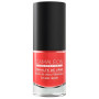 Vernis à Ongles Nº10 Coral 6Ml Camaleon