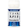 Holodepor Musculation 60 Gélules Equisalud