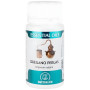 Essential Oils Orégano 60 Perles Equisalud
