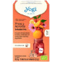 Fraise et Orange Infusion Froide 15 Filtres Yogi Tea