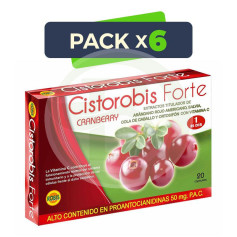 Pack 6x Cistorobis Forte 20 Gélules Robis