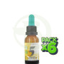 Pack 6x Fórmula 5 Autocontrol 20Ml. Marnys