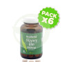 Pack 6x Olmo Rojo (Ulmus Rubra) Health Aid
