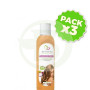 Pack 3x Champú de Cebolla No Paraben 400Ml. Armonia