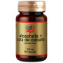 Artichaut + Queue de Cheval 60 Gélules Obire