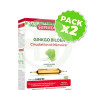 Pack 2x Ginkgofit Bio 20 Ampollas Superdiet