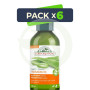 Pack 6x Champú Hidratante 300Ml. Corpore Sano