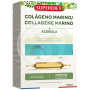 Collagène marin à l’acérola 20 Ampoules Superdiet