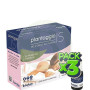 Pack 3x Plantaggio IS 20 Viales Derbos