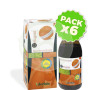 Pack 6x Celugras 250Ml. Derbos