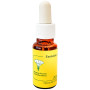 Pasionaria Fleur 20Ml Essences du Méditerranée