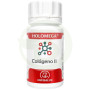 Holomega Collagène Ii Articulaire 50 Gélules Equisalud
