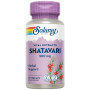 Shatavari 500Mg 60 Gélules Végétales Solaray
