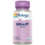 Shilajit 100Mg 30 Gélules Végétales Solaray