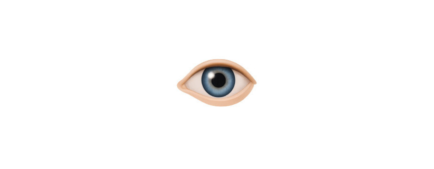 Sistema Ocular