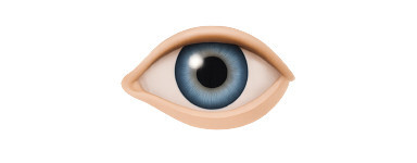 Sistema Ocular