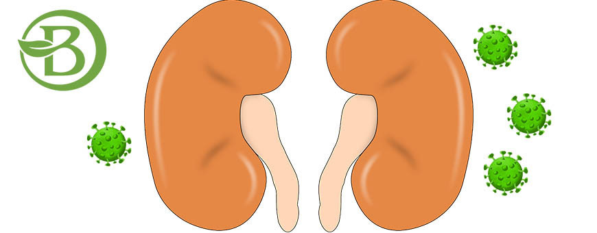 Infections urinaires