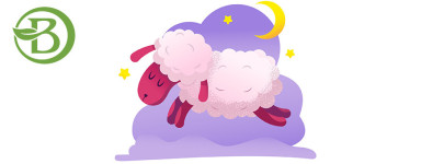 Sommeil
