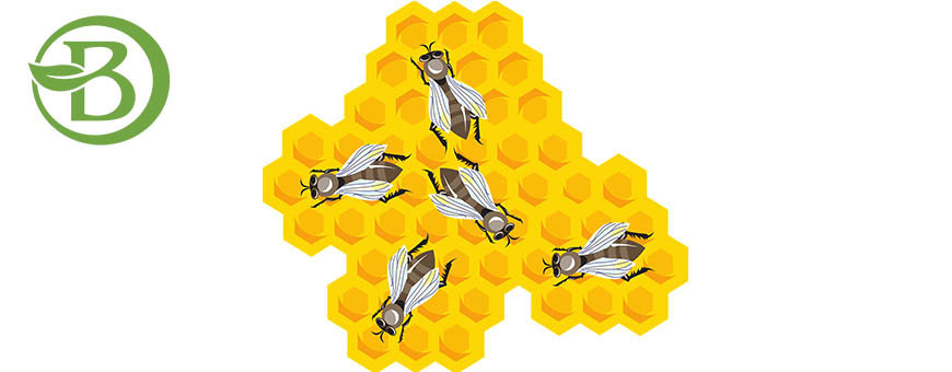 Propolis
