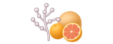 Candidoses