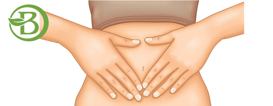 Probiotiques & Prébiotiques