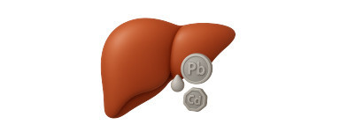 Metales Pesados