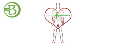 Cardiovasculaire