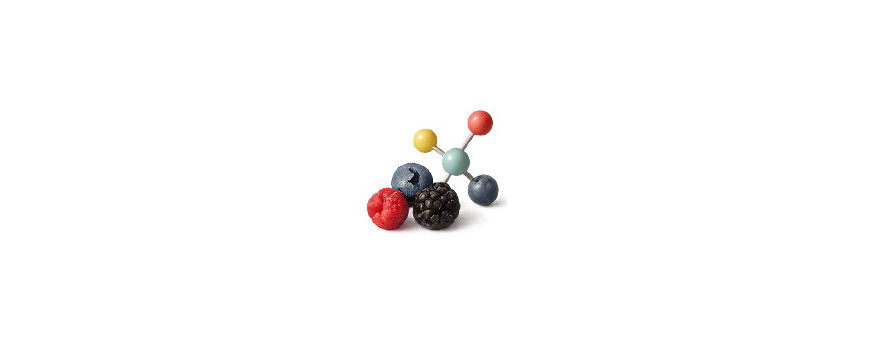 Antioxidantes