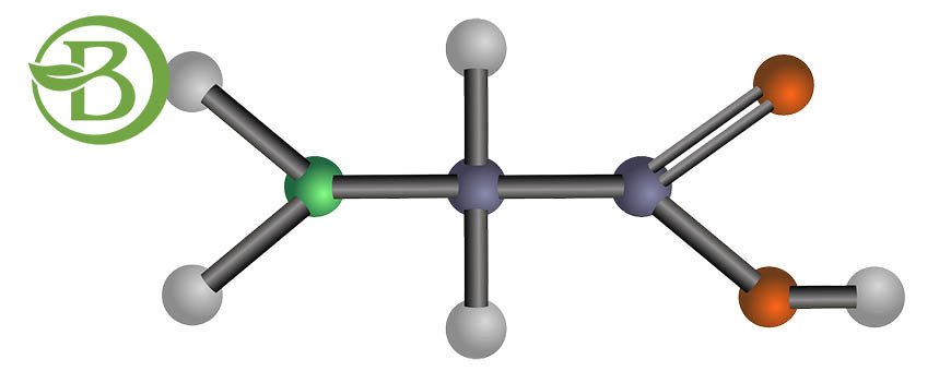 Acides aminés