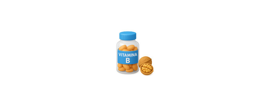 Vitamine B