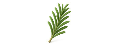 Plantas
