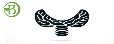 Thyroïde